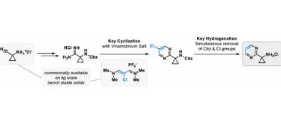 Scalable Route for a Highly Polar Heterocyclic Aminocyclopropyl