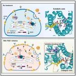 Cell 唯一通讯！刚发完 Nature，施一公学生李晓淳再取突破