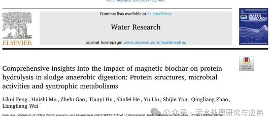 分享一篇文献：磁性生物炭对污泥厌氧消化中蛋白质水解的影响的全面见解：蛋白质结构，微生物活性和互养代谢