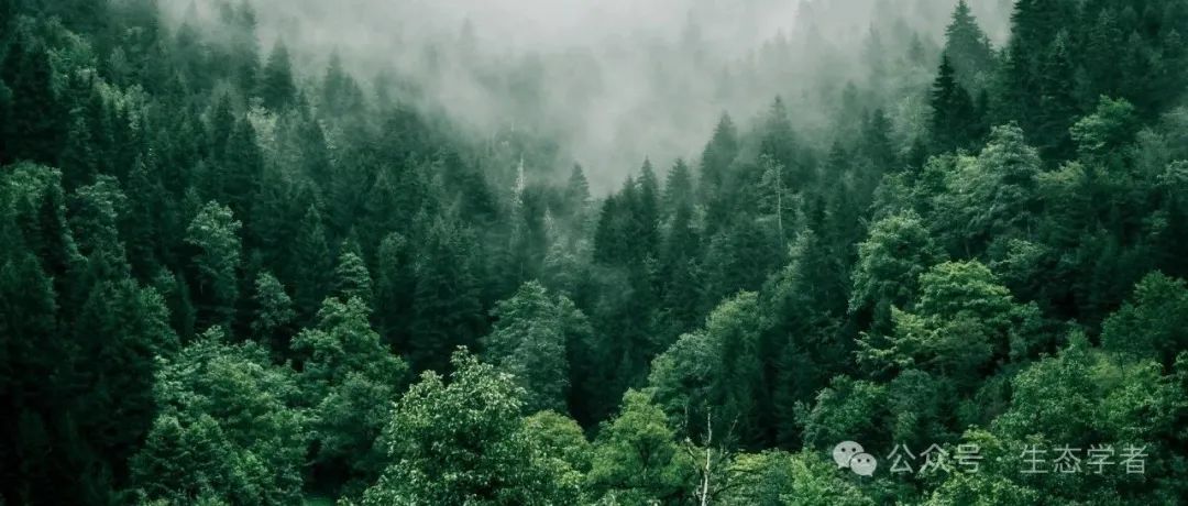 Nature正刊 ！多生境物种互作对生态系统稳定性的影响！