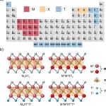 (纯计算)韩国科学技术院ACS Nano: 主动学习加速寻找热力学稳定的MXenes