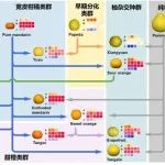 浙江大学农学院在国际著名期刊连发两篇研究成果！