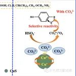 华中科技大学朱丽华团队JES：碳酸盐对CuS/PMS体系降解酚类化合物的促进作用——促进作用与酚类取代基的电子效应之间的明确关系