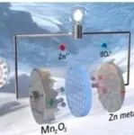 吉林化工学院韩丹丹、清华大学危岩教授《Small》：仿生深海鱼的“脯氨酸”策略用于高效低温水系锌离子电池