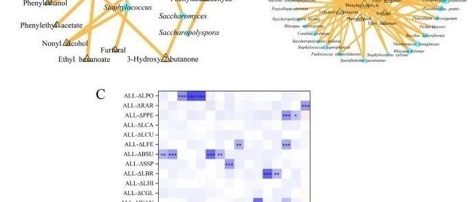 为黄酒酿造开发以风味为导向的合成微生物群落：全面微生物群落分析