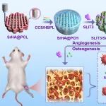 东华大学何创龙教授团队 Chem. Eng. J.：抗菌生物活性支架发挥本征刺激与免疫调节活性共同促进血管化骨再生