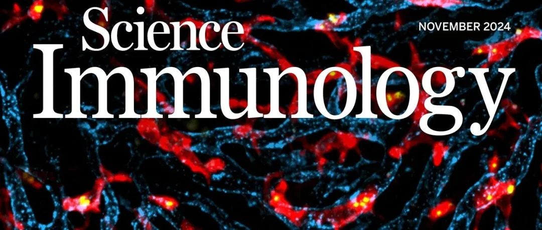 Science Immunology｜山东大学马春红/武专昌发现靶向TIM-3棕榈酰化增强抗肿瘤免疫的新策略