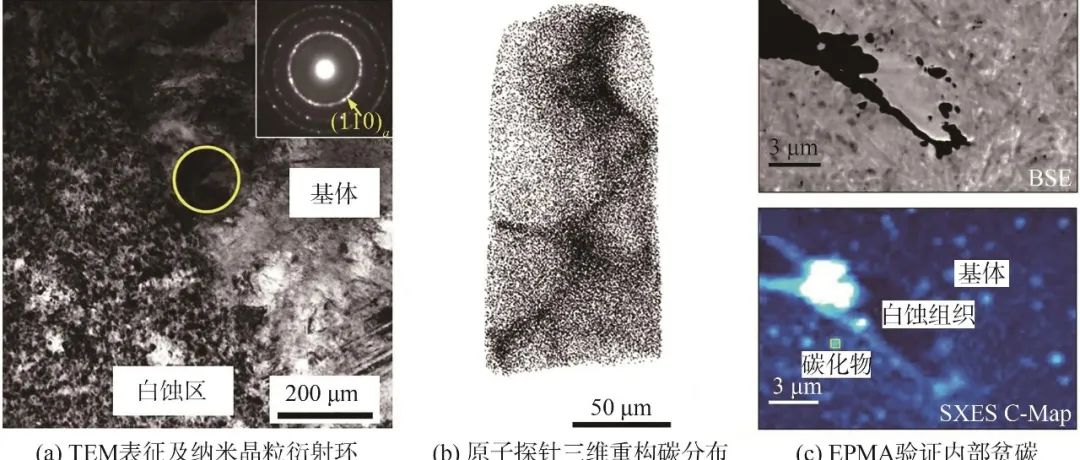 轴承钢滚动接触疲劳诱发白蚀区的研究进展