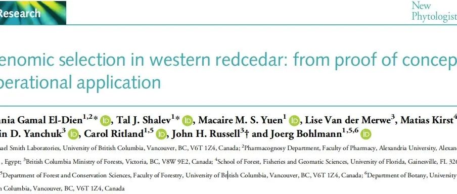 文献分享 | 西部红杉的基因组选择：从概念验证到实际应用