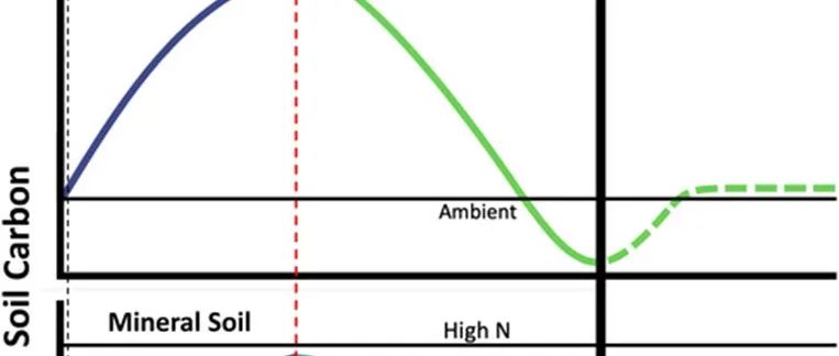 土壤碳氮| ECOLOGY：人类活动引起的氮沉降所导致的土壤碳储量增益在氮沉降停止后会迅速消失