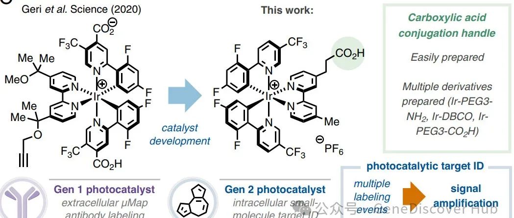 小分子光催化剂通过能量转移实现药物靶向识别