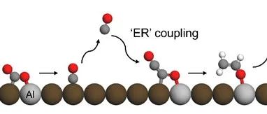 天津大学巩金龙教授团队：为CO2还原构建亲氧性描述符