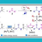 云南大学金毅课题组Adv. Synth. Catal.：通过光氧化还原催化亚砜叶立德的N-H插入构建α-酮酰胺