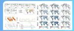 npj Climate and Atmospheric Science｜张利平教授课题组极端湿热引发全球极端降水事件研究进展