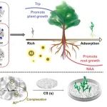 吉大杨英威教授、秦建春教授团队 JCR：金属有机框架双功能纳米系统用于缓解酸铝胁迫并调节植物生长