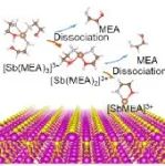 合肥工大周儒课题组Light：Science & Applications：添加剂工程助力实现高效硫化锑室内光伏电池