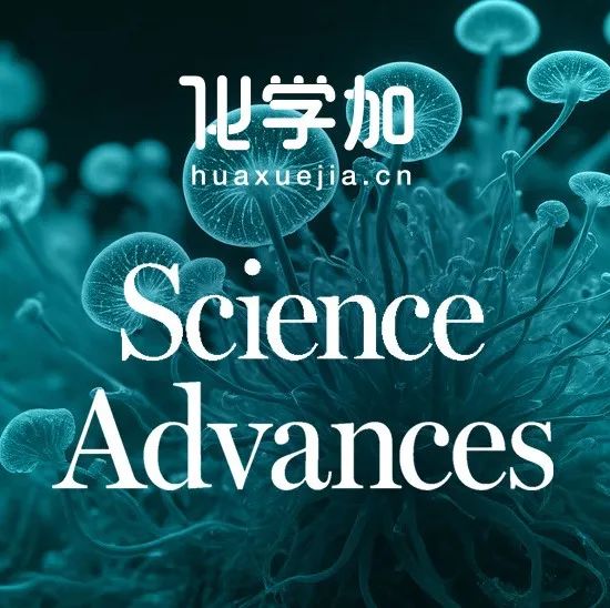 天津理工大学叶宁教授团队Science Advances：磷属红外非线性光学晶体设计新策略