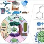 成都理工大学蒲生彦团队Environ. Int.综述：固定化酶在多环芳烃污染土壤修复中的作用评价