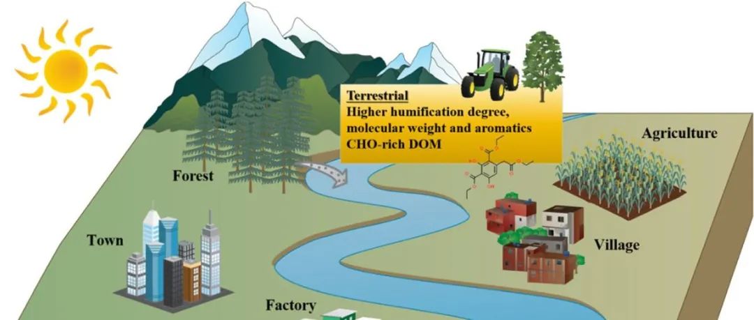 Carbon Research | 基于光谱学和FT-ICR-MS解析城市河流中溶解有机质的分子组成和来源