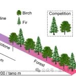 青藏高原所《Nature Plants》最新研究成果！