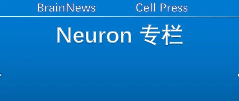 Neuron：董志芳/任春光团队合作揭示中性粒细胞与神经元跨界对话参与情绪调节的新机制