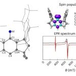 研究前沿：中山大学/大连化物所-氮烯 | Nature Chemistry