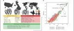 Nature Microbiology | 大规模研究发现了肠道中与咖啡摄入密切相关的一种细菌