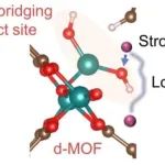 山东大学、青岛农业大学联合发表Angew. Chem. Int. Ed.：配体非桥接位点设计助力MOFs提升储锂容量