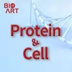 Protein & Cell观点 | 贾伟团队探讨肠道微生物的纵向分布变化影响疾病发生和疗效