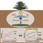 Journal of Ecology | 成都生物所在揭示高寒针叶林根际微生物残体积累与调控机制方面获新进展