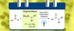 ACS Catal.：酰基氟化物和烷基硅烷的双 N-杂环卡宾/光氧还原催化偶联反应