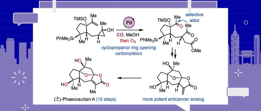 埃默里大学代明骥组JACS：Phaeocaulisin A的10步全合成和钯催化环丙醇开环羰基化反应