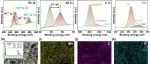 原位制备含O缺陷碳包覆δ-MnO2可编程生物医用材料