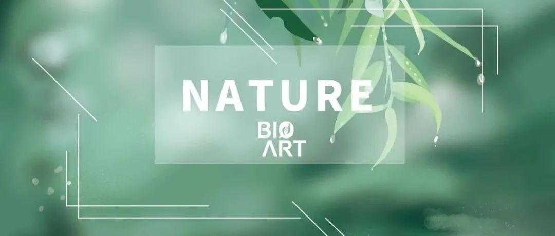 专家点评Nature | 王平团队揭示缬氨酸感应新机制