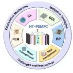 福州大学顶刊综述PMS：高温质子交换膜燃料电池性能衰减机理及缓解策略！