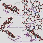 “药”科研||福建中医药大学在TOP期刊Food Chemistry发表茶多酚提取及功能性膜制备的研究