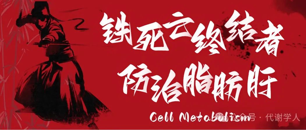 Cell Metabolism：铁死亡终结者防治脂肪肝