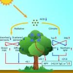 国防科大与南信大最新合作成果在顶刊Nature Geoscience发表!