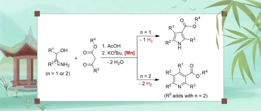 JACS：一种高效合成吡咯和吡啶的新方法