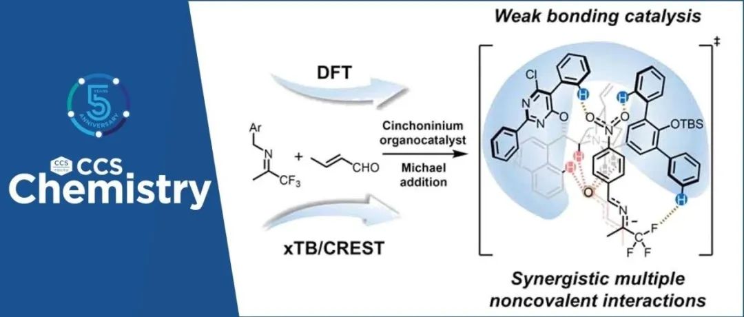 【CCS Chem.】西湖大学邓力、浙江大学洪鑫：亚胺极性反转共轭加成中的弱键催化机制与手性调控模型