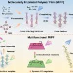 苏州大学张伟教授团队 Small：分子印迹策略实现圆偏振发光增强的可循环聚合物手性薄膜