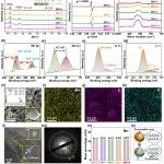 原位制备含O缺陷碳包覆δ-MnO2可编程生物医用材料