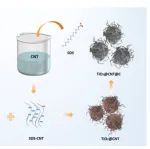 贵州大学《Langmuir》：热解碳涂层和碳纳米管协同表面改性的杨梅状TiO2作为锂离子电池的阳极