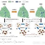 北京师范大学《Nature》子刊最新成果！