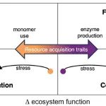 Ecology Letters | 微生物互作如何影响生态系统功能