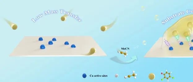 J. Colloid Interf. Sci. | 构建疏水底物口袋增强纳米酶的类漆酶活性