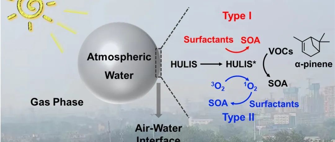 南开大学张新星/天津大学傅平青团队：大气类腐殖质在气-液界面显著且不同的光敏氧化