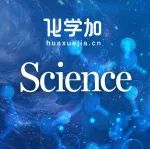 中国科大昨日连发两篇Nature，今日再发Science！