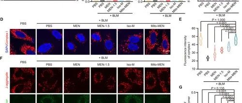 【科技前沿】ACS Nano｜中国药科大学姜虎林，东南大学李玲揭示线粒体纳米治疗新突破——同步调控功能与失调线粒体缓解肺纤维化