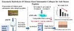 FSAP | 贵阳学院李灿教授、叶婷副教授：中国大鲵皮中小分子质量胶原肽的提取及抗肿瘤活性分析